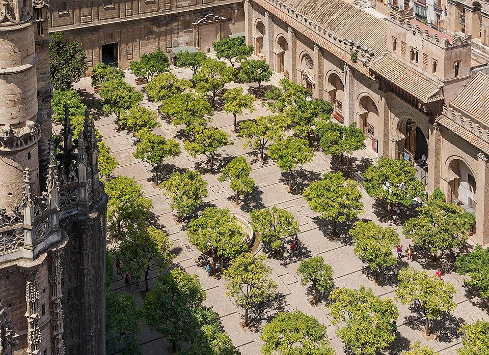 Siviglia: Orange trees courtyard cathedral from Giralda Seville Spain