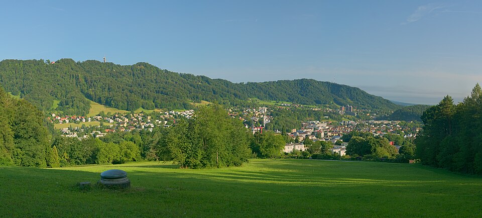Zurigo: Adliswil from Chopfholz 20200710